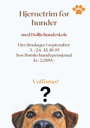 Hjernetrim for hunder