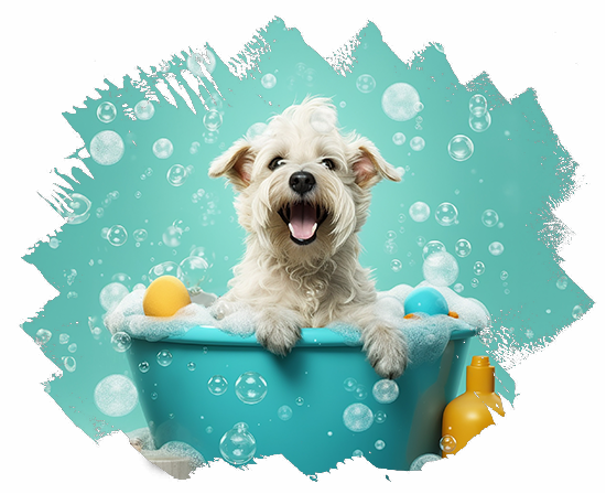 badehund-2